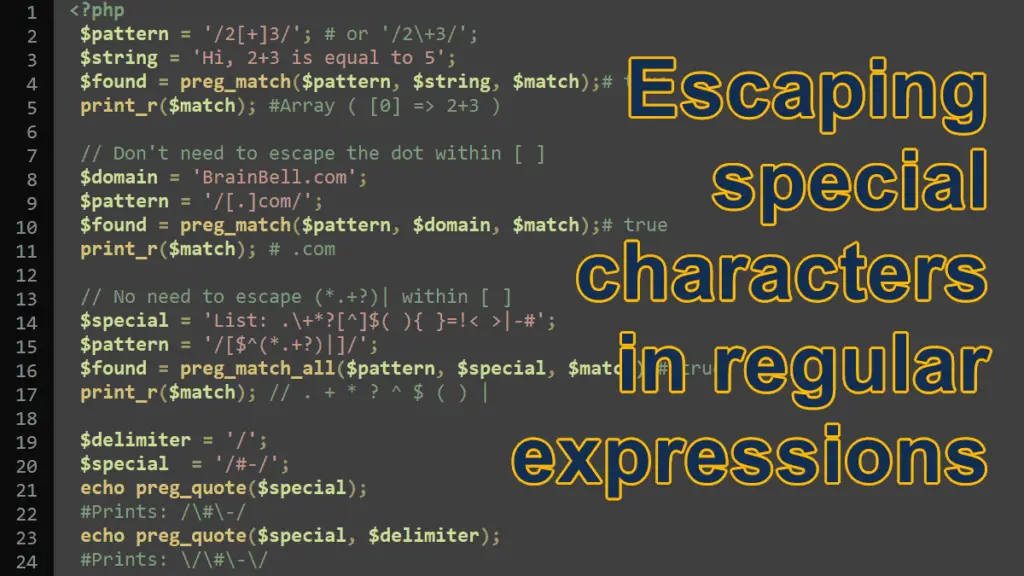 escaping-special-characters-in-regular-expressions-in-php-brainbell